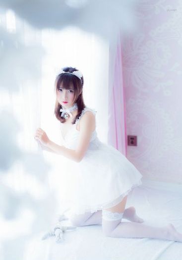 美的统治