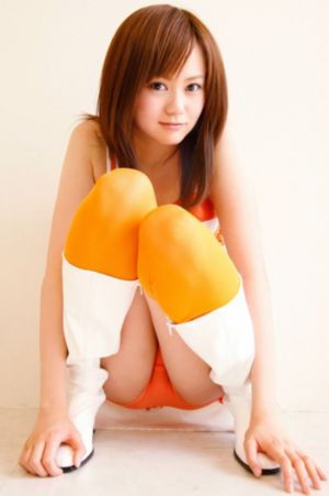 文豪野犬第季第四季